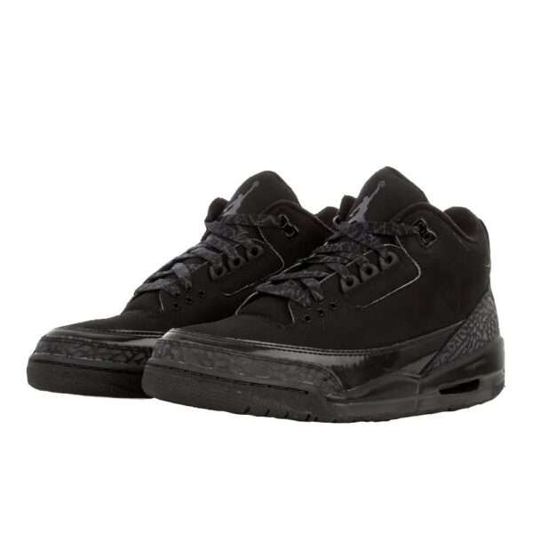 Air Jordan 3 (Black Cat)